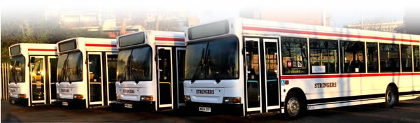 Stringers' buses